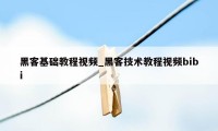 黑客基础教程视频_黑客技术教程视频bibi