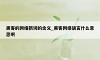 黑客的网络新词的含义_黑客网络语言什么意思啊