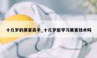 十几岁的黑客高手_十几岁能学习黑客技术吗