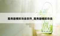 服务器模拟攻击软件_服务器模拟攻击