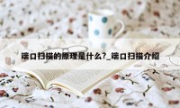 端口扫描的原理是什么?_端口扫描介绍