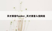 天才黑客flanker_天才黑客入侵网络