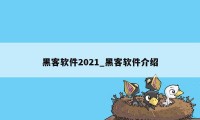 黑客软件2021_黑客软件介绍