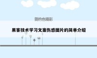 黑客技术学习文案伤感图片的简单介绍