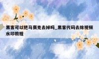 黑客可以把马赛克去掉吗_黑客代码去除视频水印教程