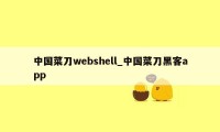 中国菜刀webshell_中国菜刀黑客app