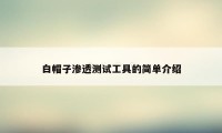 白帽子渗透测试工具的简单介绍