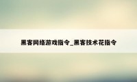 黑客网络游戏指令_黑客技术花指令