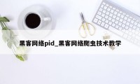 黑客网络pid_黑客网络爬虫技术教学