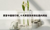 黑客中国排行榜_十大黑客技术排名国内网站