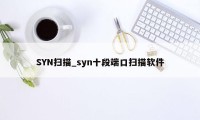 SYN扫描_syn十段端口扫描软件