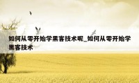 如何从零开始学黑客技术呢_如何从零开始学黑客技术