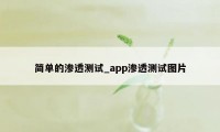 简单的渗透测试_app渗透测试图片