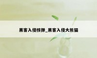 黑客入侵核弹_黑客入侵大熊猫