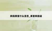 网络黑客什么意思_黑客网络语