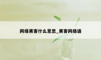 网络黑客什么意思_黑客网络语