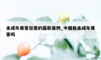 未成年黑客犯罪的最新案例_中国有未成年黑客吗