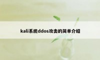 kali系统ddos攻击的简单介绍