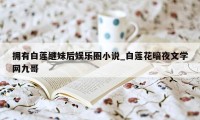 拥有白莲继妹后娱乐圈小说_白莲花暗夜文学网九哥