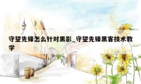 守望先锋怎么针对黑影_守望先锋黑客技术教学