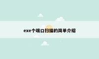 exe个端口扫描的简单介绍