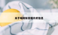 关于暗网斩首图片的信息