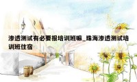 渗透测试有必要报培训班嘛_珠海渗透测试培训班住宿