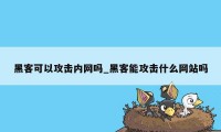 黑客可以攻击内网吗_黑客能攻击什么网站吗