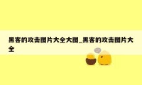 黑客的攻击图片大全大图_黑客的攻击图片大全