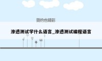 渗透测试学什么语言_渗透测试编程语言