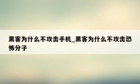 黑客为什么不攻击手机_黑客为什么不攻击恐怖分子