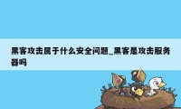 黑客攻击属于什么安全问题_黑客是攻击服务器吗