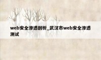 web安全渗透剖析_武汉市web安全渗透测试