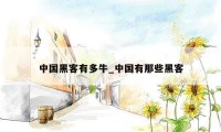 中国黑客有多牛_中国有那些黑客