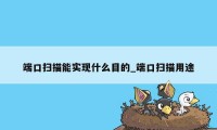 端口扫描能实现什么目的_端口扫描用途