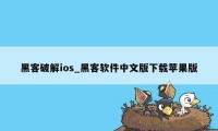 黑客破解ios_黑客软件中文版下载苹果版