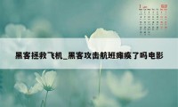 黑客拯救飞机_黑客攻击航班瘫痪了吗电影