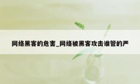 网络黑客的危害_网络被黑客攻击谁管的严