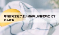 邮箱密码忘记了怎么破解呢_邮箱密码忘记了怎么破解