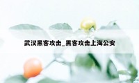 武汉黑客攻击_黑客攻击上海公安