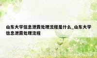 山东大学信息泄露处理流程是什么_山东大学信息泄露处理流程