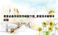 黑客必备手机软件破解下载_黑客技术解锁手机版