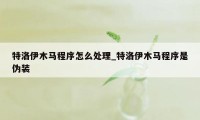 特洛伊木马程序怎么处理_特洛伊木马程序是伪装