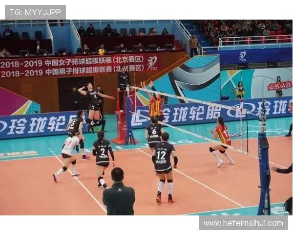 排球盛宴：深入了解成都排球队的团队精神与训练哲学