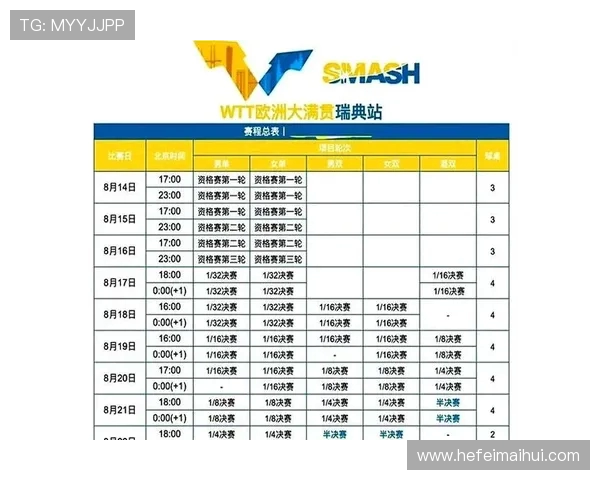 CCTV5直播德国对阵瑞典精彩赛事回顾与分析