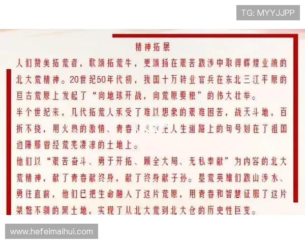 原帅的成长之路：从默默无闻到耀眼明星的奋斗故事