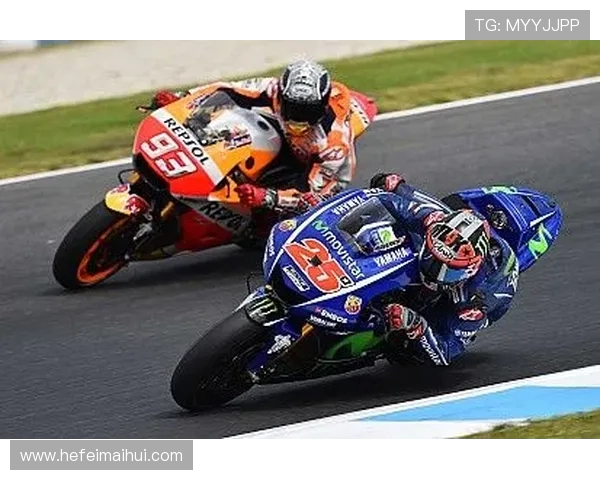 维也纳快速与哈特贝格的精彩对决分析与赛季展望