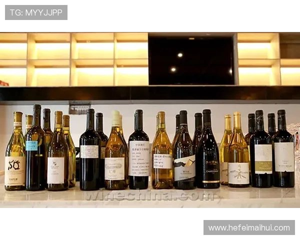 袁堂文:在历史长河中探索文化传承与创新的智慧之旅