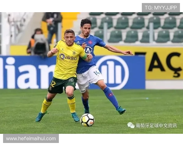 费伦斯与费雷拉对决分析及胜负推荐详解