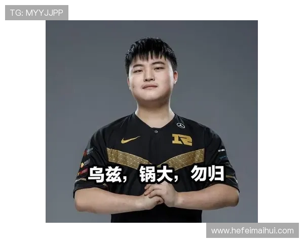 RNG战队技术解析:从战术布局到个人操作的全面剖析 RNG战队技术解析:从战术布局到个人操作的全面剖析